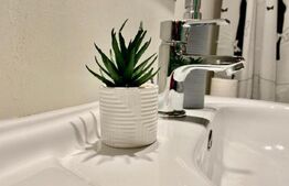 9 Apartamente, 2 camere, ultracentral - Investiție 