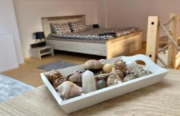 9 Apartamente, 2 camere, ultracentral - Investiție 