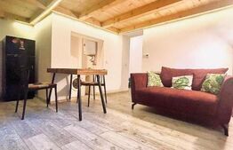 9 Apartamente, 2 camere, ultracentral - Investiție 