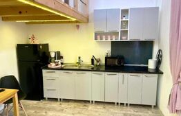 9 Apartamente, 2 camere, ultracentral - Investiție 