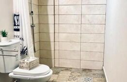 9 Apartamente, 2 camere, ultracentral - Investiție 