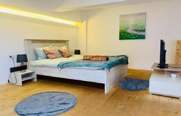 9 Apartamente, 2 camere, ultracentral - Investiție 