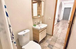 9 Apartamente, 2 camere, ultracentral - Investiție 
