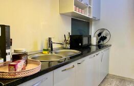 9 Apartamente, 2 camere, ultracentral - Investiție 