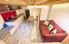 9 Apartamente, 2 camere, ultracentral - Investiție 