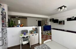 Apartament la cheie, 2 camere, 68 mp, zona Muzeul Apei