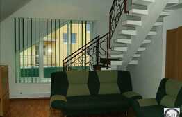 Casa individuala in Europa, renovata recent, cu 229 mp utili.