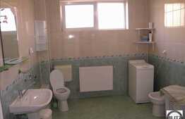 Casa individuala in Europa, renovata recent, cu 229 mp utili.