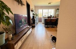 Studio modern 49 mp | Parter | Parcare inclusa | Sanpetru, Brasov