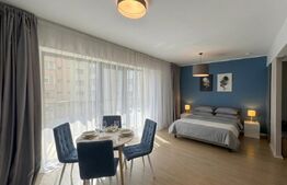 Apartament 1 camera, 45 mp, parcare, lux, Zona: Calea Floresti