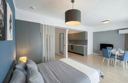 Apartament 1 camera, 45 mp, parcare, lux, Zona: Calea Floresti