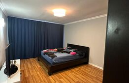 Casa cu 8 camere, 300 mp, 20 parcari, zona Lidl