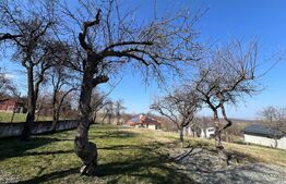 Casa renovabila de vanzare cu teren de 1300mp