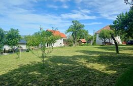 Casa de vanzare cu teren  de 1300mp