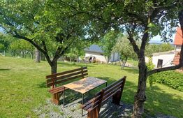 Casa de vanzare cu teren  de 1300mp