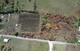 Oportunitate! Teren 6896 mp Borhanci – Zonă în Plină Dezvoltare