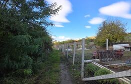 Oportunitate! Teren 6896 mp Borhanci – Zonă în Plină Dezvoltare