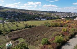 Oportunitate! Teren 6896 mp Borhanci – Zonă în Plină Dezvoltare