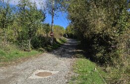 Oportunitate! Teren 6896 mp Borhanci – Zonă în Plină Dezvoltare