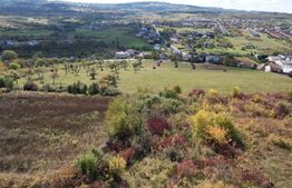 Oportunitate! Teren 6896 mp Borhanci – Zonă în Plină Dezvoltare