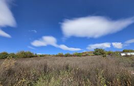 Oportunitate! Teren 6896 mp Borhanci – Zonă în Plină Dezvoltare