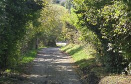 Oportunitate! Teren 3448 mp Borhanci – Zonă în Plină Dezvoltare
