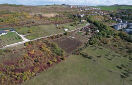 Oportunitate! Teren 6896 mp Borhanci – Zonă în Plină Dezvoltare