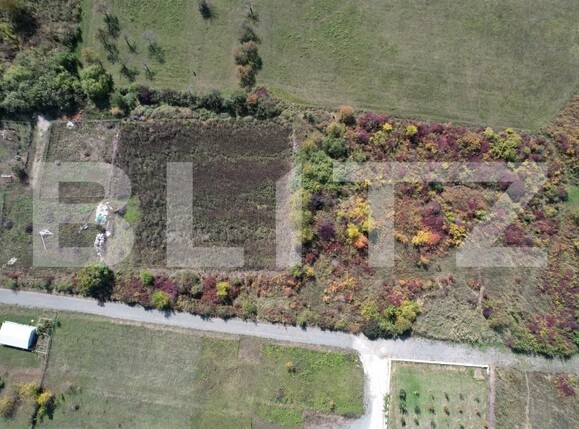 Teren de vânzare Borhanci - 190662TV | BLITZ Cluj-Napoca | Poza2