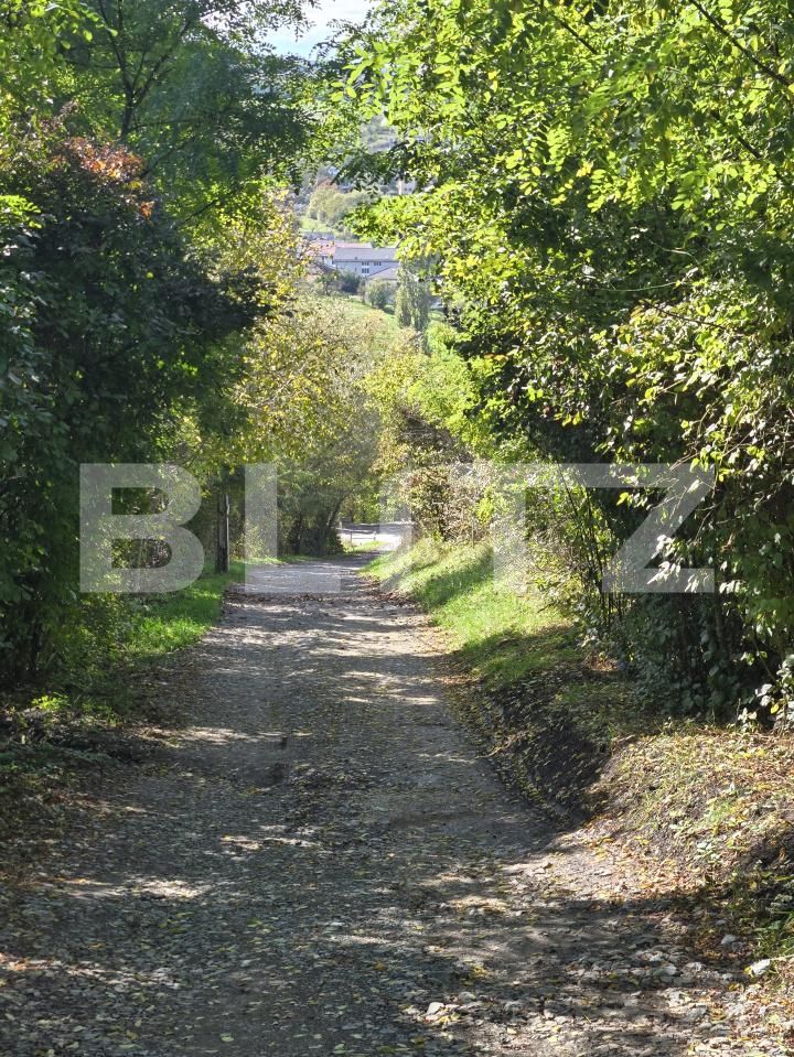 Teren de vânzare Borhanci - 190662TV | BLITZ Cluj-Napoca | Poza10