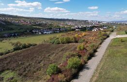 Oportunitate Unică: Parcele de 500 - 1000 mp, în Borhanci, Cluj-Napoca