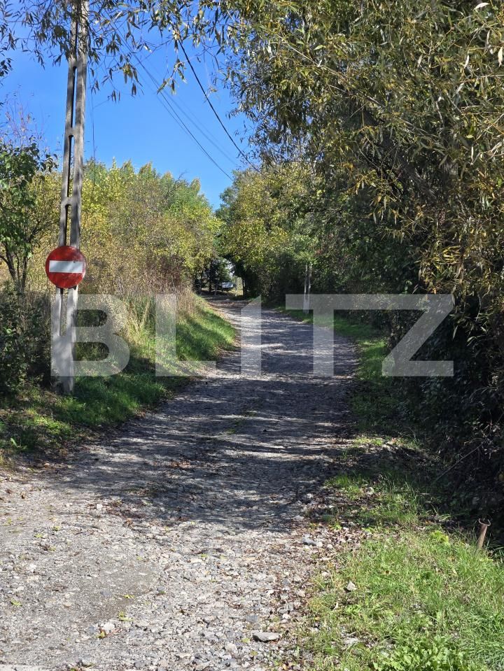 Teren de vânzare Borhanci - 190663TV | BLITZ Cluj-Napoca | Poza9