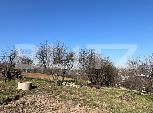 Teren de vânzare Zorilor - 190673TV | BLITZ Cluj-Napoca | Poza1