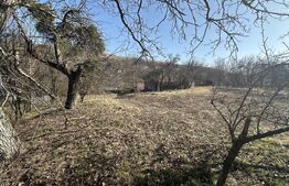 Teren cu grădină si casa bonus, oportunitate unica – Valcele, Feleacu