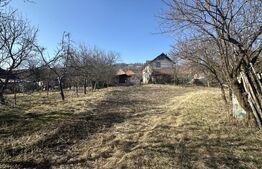 Teren cu grădină si casa bonus, oportunitate unica – Valcele, Feleacu