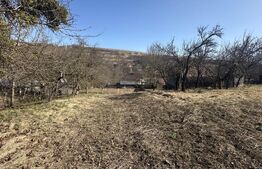 Teren cu grădină si casa bonus, oportunitate unica – Valcele, Feleacu