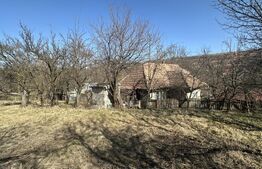 Teren cu grădină si casa bonus, oportunitate unica – Valcele, Feleacu