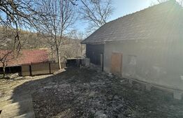 Teren cu grădină si casa bonus, oportunitate unica – Valcele, Feleacu