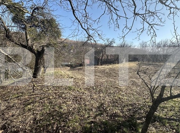 Teren de vânzare Valcele - 190674TV | BLITZ Cluj-Napoca | Poza6