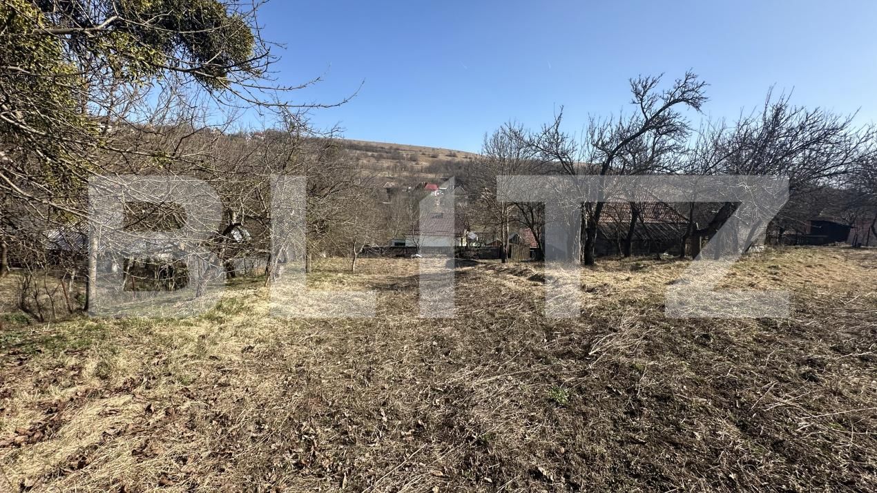 Teren de vânzare Valcele - 190674TV | BLITZ Cluj-Napoca | Poza7