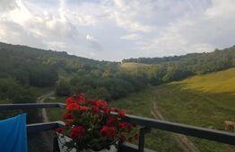 Oportunitate! 2 camere decomandate, etaj intermediar, parcare, Donath Park