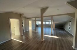 Casa Premium in Salicea 250 mp - in cea mai cautata locatie