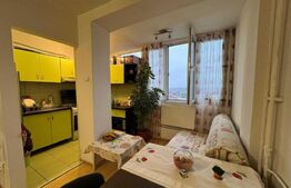 Garsoniera, 32 mp, zona strazii, C. Brancusi