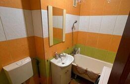 Garsoniera, 32 mp, zona strazii, C. Brancusi