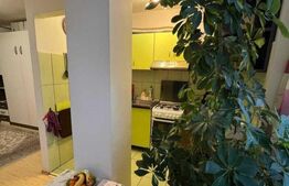 Garsoniera, 32 mp, zona strazii, C. Brancusi