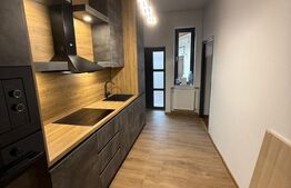 Garsoniera de vanzare, 42 mp, Ultra Central Renovata - Zona Teatrul Dramatic