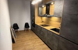 Garsoniera de vanzare, 42 mp, Ultra Central Renovata - Zona Teatrul Dramatic