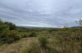 Teren de vanzare Salicea