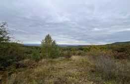 Teren de vanzare Salicea