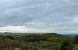 Teren de vanzare Salicea