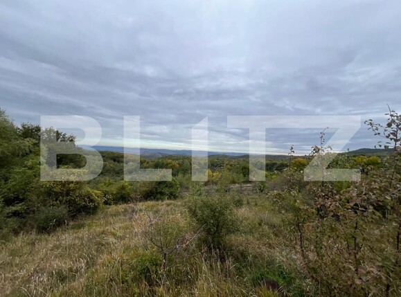 Teren de vânzare Ciurila - 190702TV | BLITZ Cluj-Napoca | Poza1